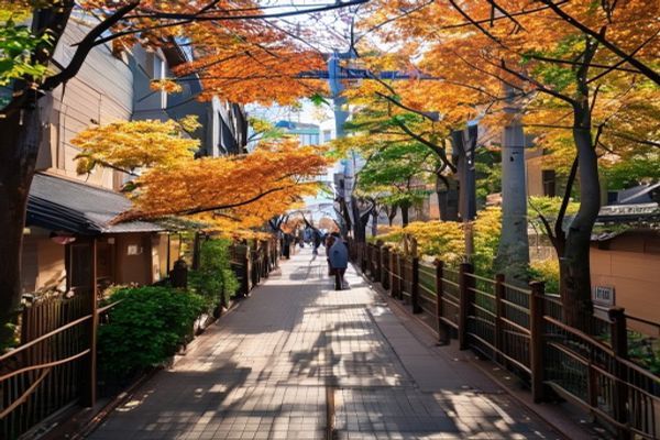 秋叶原之旅攻略：二次元圣地吃住行购全指南